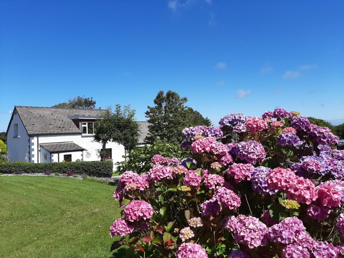 Trenewydd Farm Holiday Cottages Cardigan Esterno foto