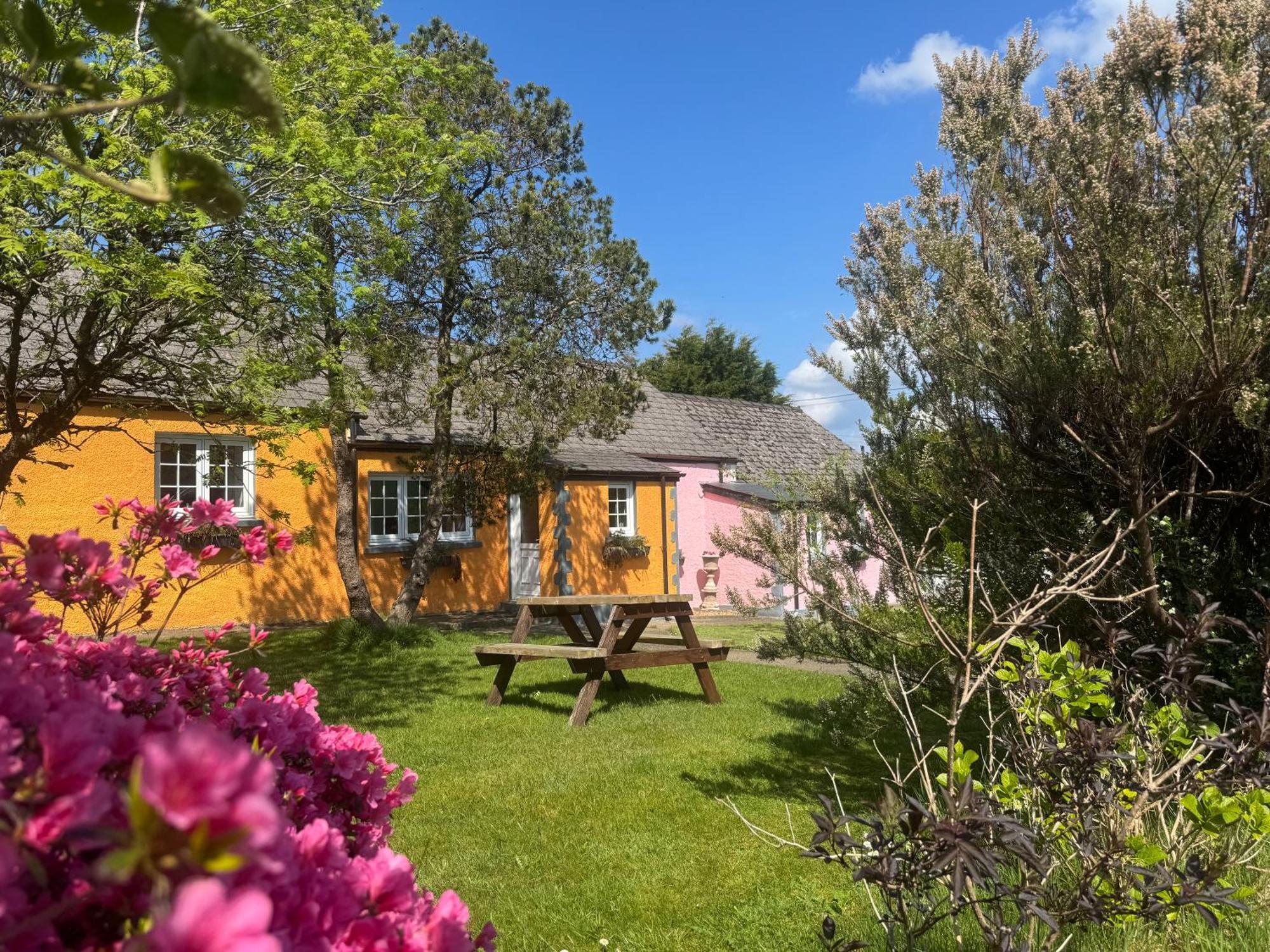 Trenewydd Farm Holiday Cottages Cardigan Esterno foto